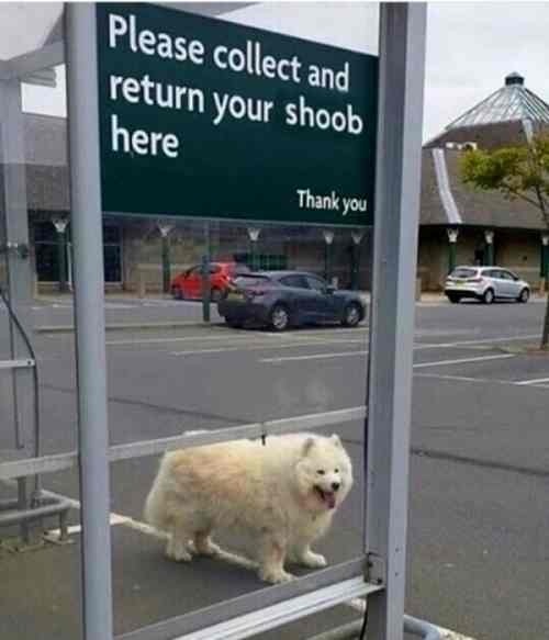 please collect and return your shoob here - Please collect and return your shoob here Thank you