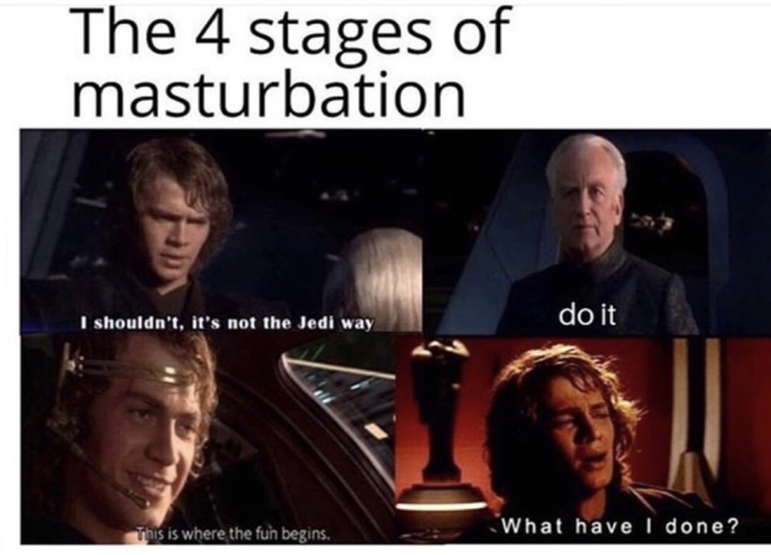 4 stages of masturbation meme - The 4 stages of masturbation I shouldn't, it's not the Jedi way do it This is where the fun begins. What have done?