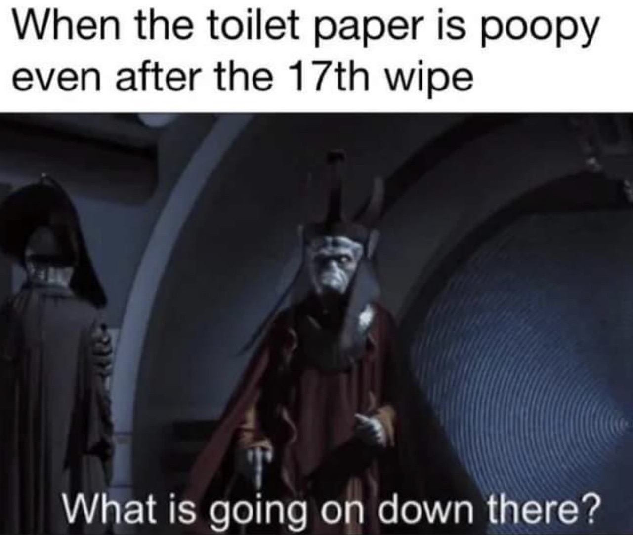 photo caption - When the toilet paper is poopy even after the 17th wipe What is going on down there?