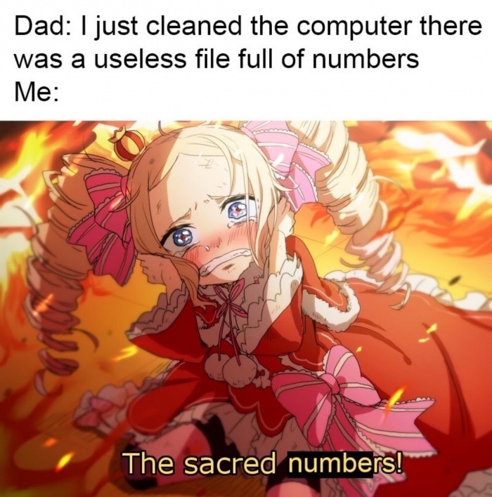 sacred numbers meme anime - Dad I just cleaned the computer there was a useless file full of numbers Me The sacred numbers!