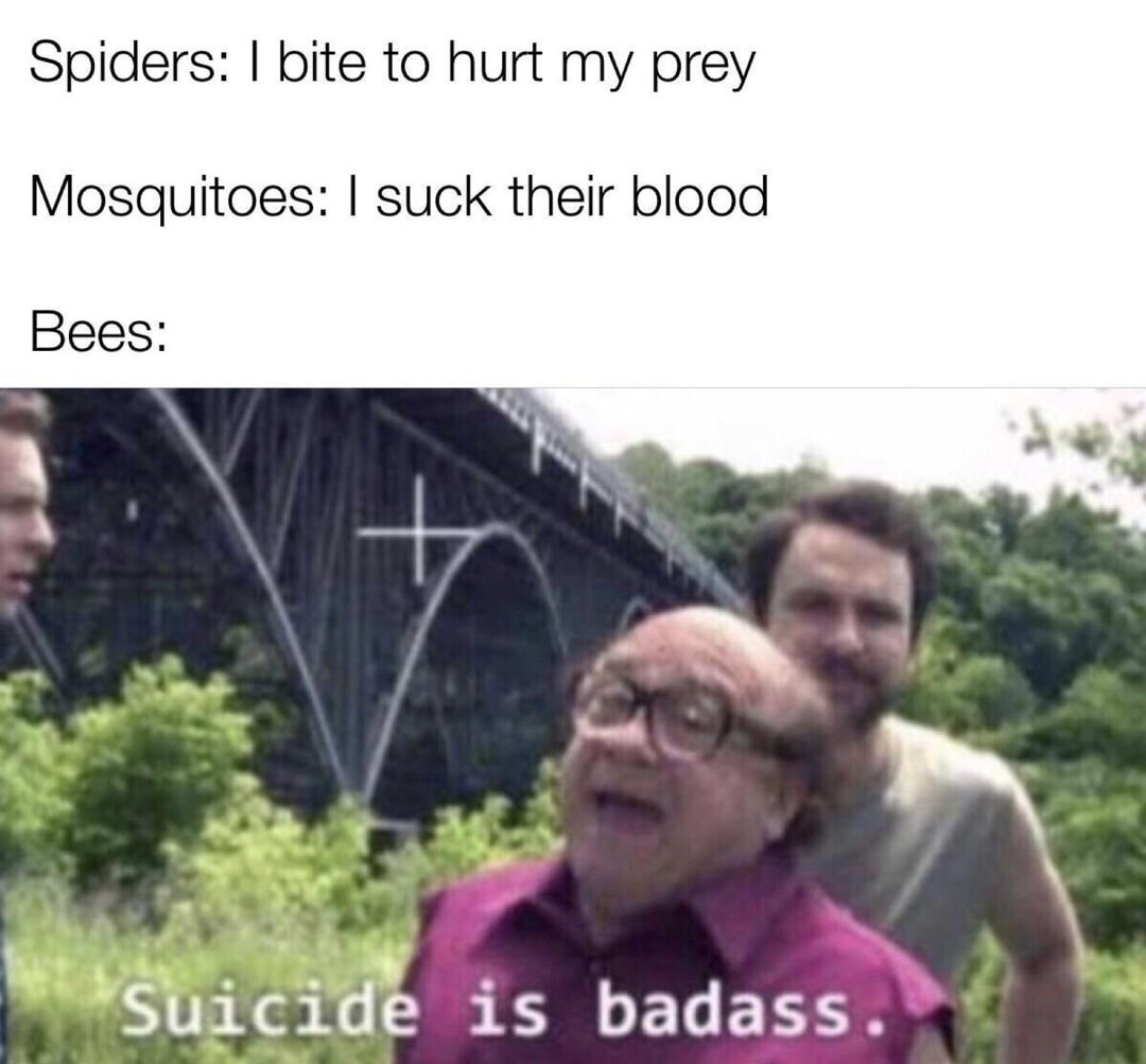 pro gamer move meme - Spiders I bite to hurt my prey Mosquitoes I suck their blood Bees Suicide is badass.
