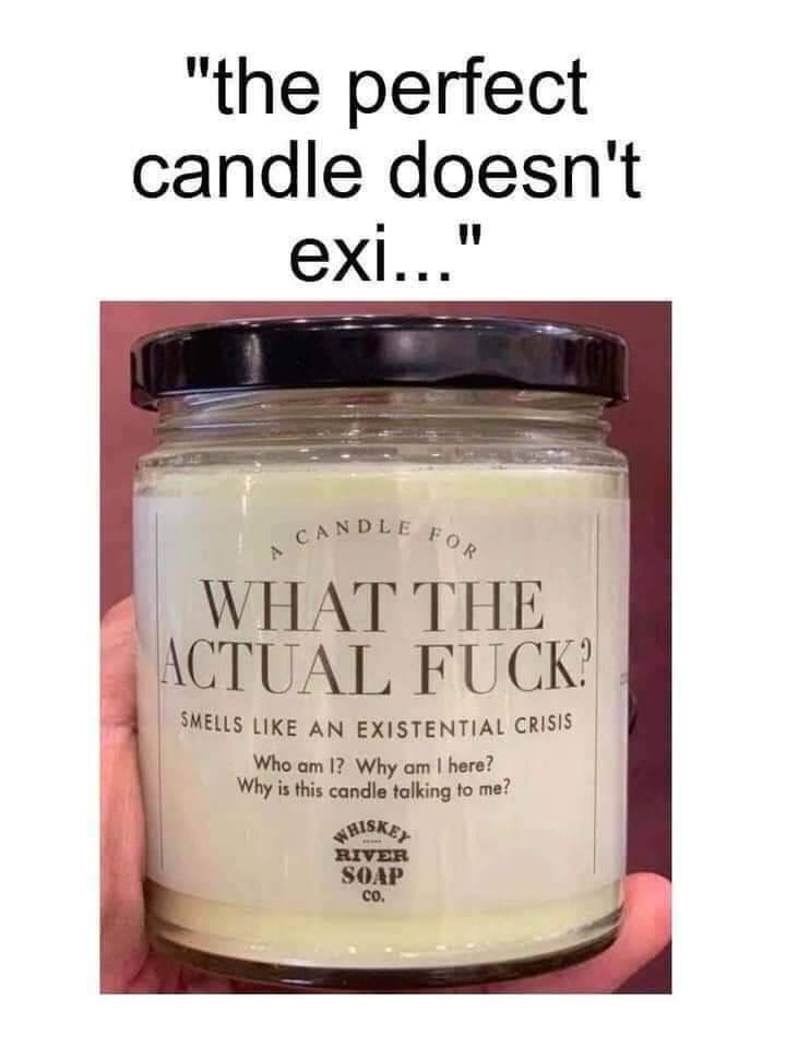 not being good enough - "the perfect candle doesn't exi..." Candler E For A Can What The Ctual Fuck Smells An Existential Crisis Who am I? Why am I here? Why is this candle talking to me? Hiske River Soap Co.