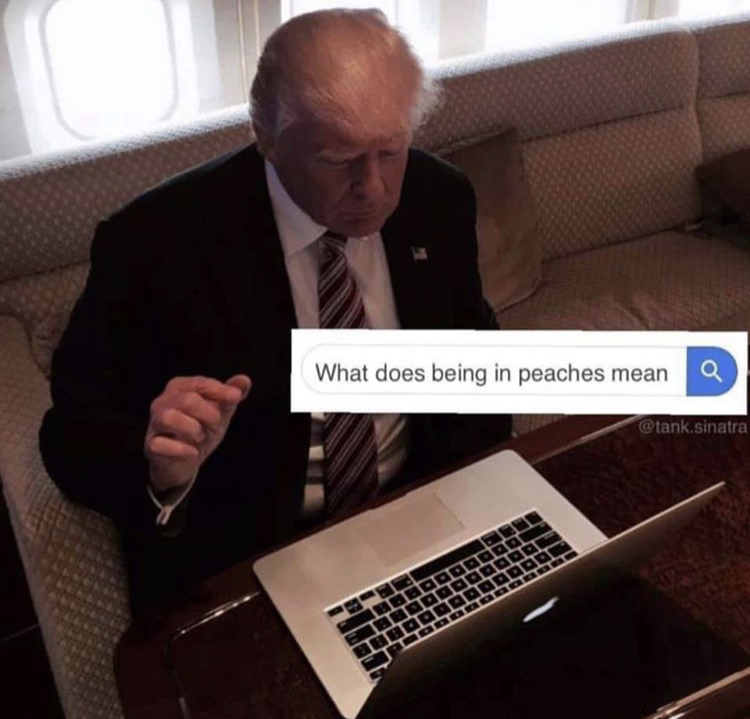 donald trump on computer - What does being in peaches mean .sinatra