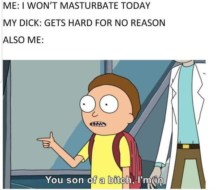 you son of a bitch i m in meme - Me I Won'T Masturbate Today My Dick Gets Hard For No Reason Also Me You son of a bitch, I'm tin