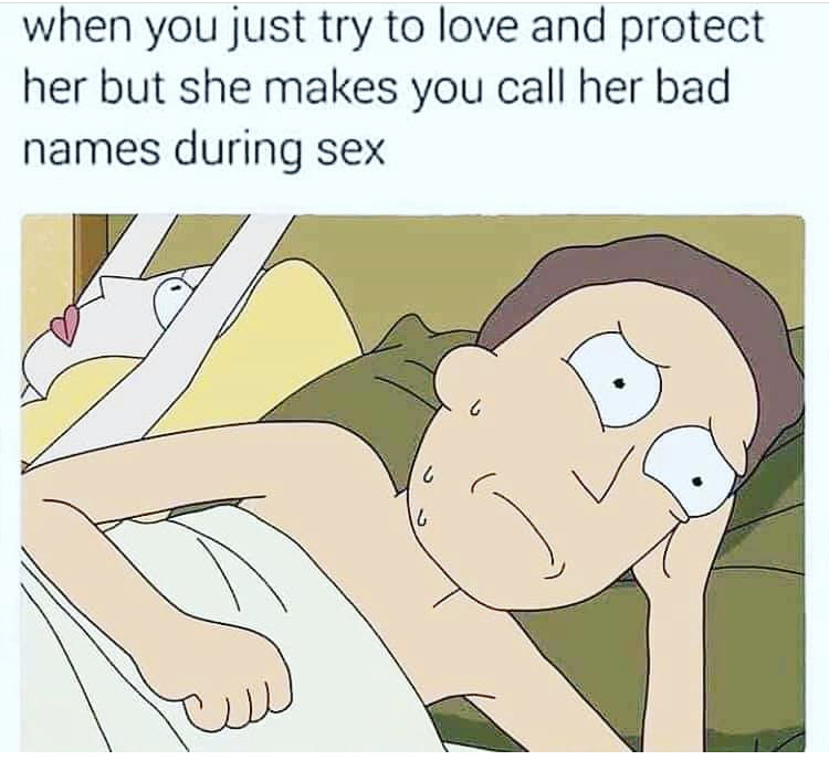 cartoon - when you just try to love and protect her but she makes you call her bad names during sex