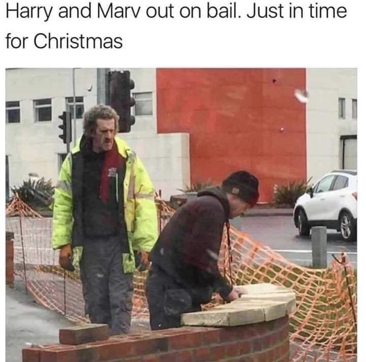 harry and marv out on bail - Harry and Marv out on bail. Just in time for Christmas