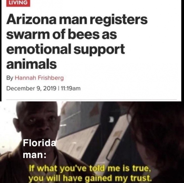 photo caption - Living Arizona man registers swarm of bees as emotional support animals By Hannah Frishberg I Florida man If what you've told me is true, you will have gained my trust;