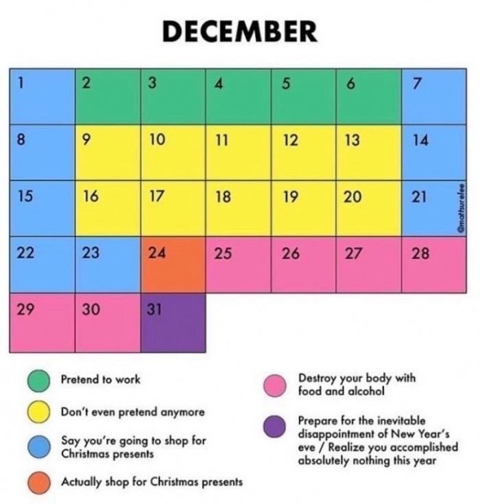 december schedule funny - December 3 9 10 11 12 13 15 16 17 18 19 20 22 | 23 24 25 26 27 28 29 30 31 Pretend to work Destroy your body with food and alcohol Don't even pretend anymore Say you're going to shop for Christmas presents Prepare for the inevita