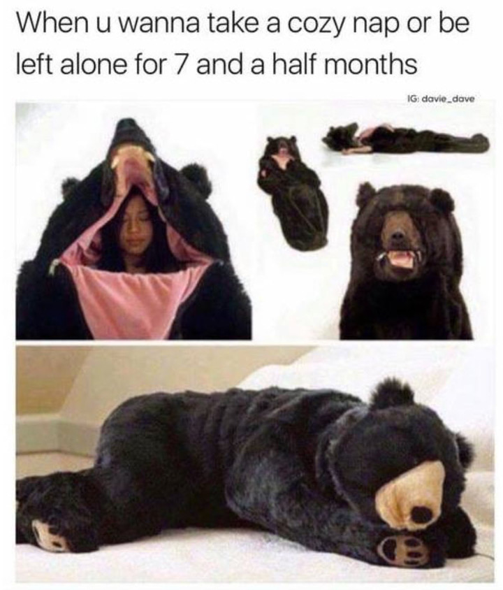 bear sleeping bag - When u wanna take a cozy nap or be left alone for 7 and a half months Ig davie_dove