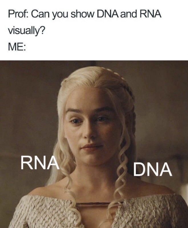 funny doctor memes - Prof Can you show Dna and Rna visually? Me Rna Dna