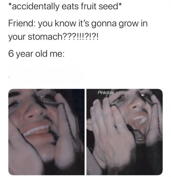 jaw - accidentally eats fruit seed Friend you know it's gonna grow in your stomach???!!!?!?! 6 year old me Plnkdols