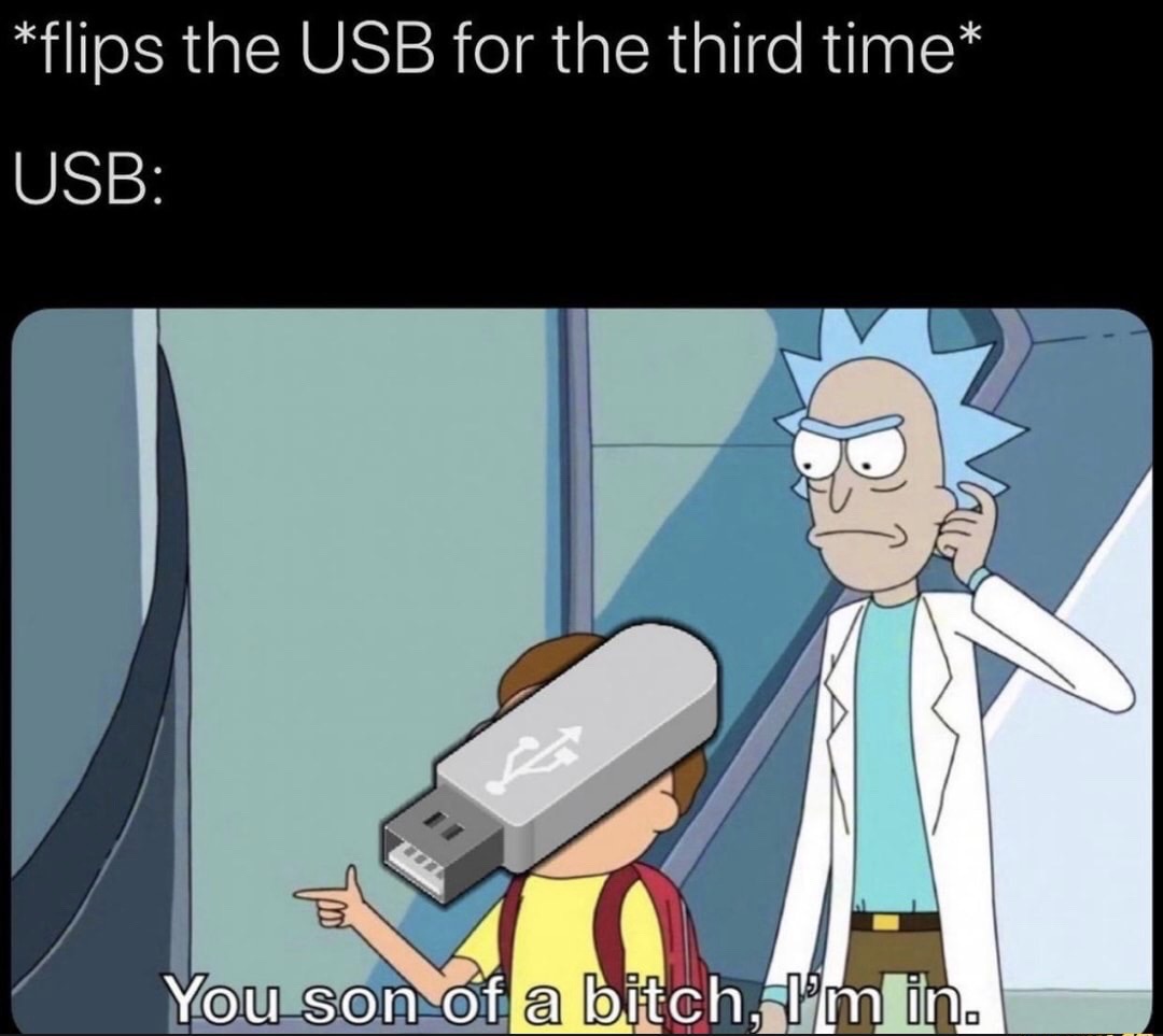 Rick and Morty - flips the Usb for the third time Usb You son of a bitch, I'm in.
