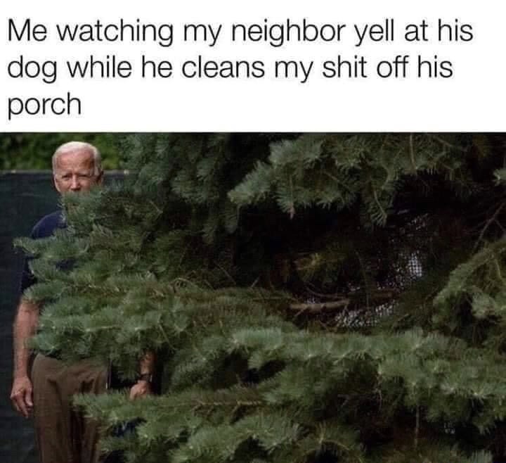 spruce - Me watching my neighbor yell at his dog while he cleans my shit off his porch