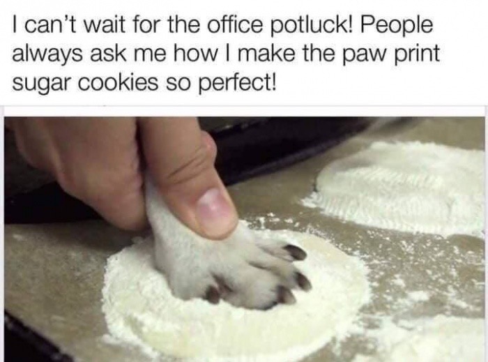 paw print potluck meme - I can't wait for the office potluck! People always ask me how I make the paw print sugar cookies so perfect!