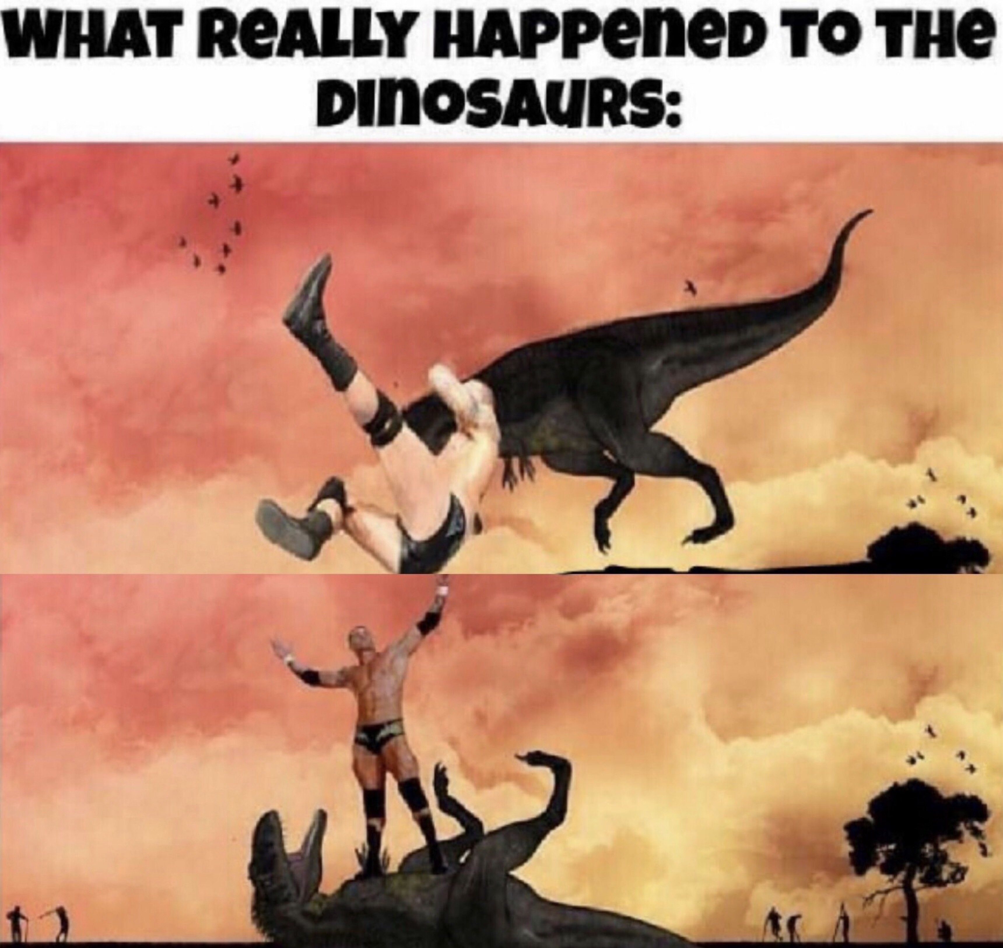 rko meme - What Really Happened To The Dinosaurs