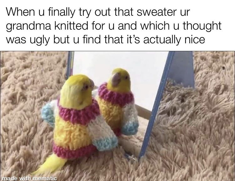 When u finally try out that sweater ur grandma knitted for u and which u thought was ugly but u find that it's actually nice made with mematic