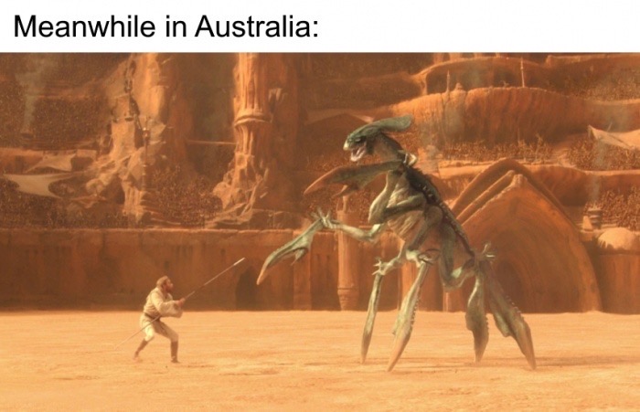 star wars acklay - Meanwhile in Australia