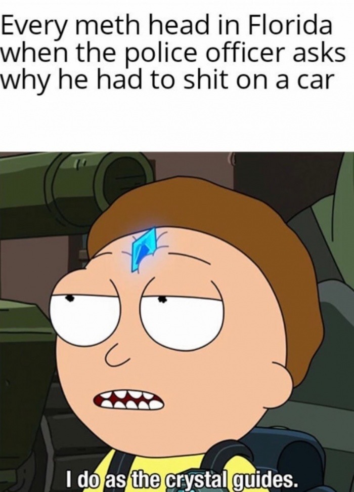 do as the crystal guides morty - Every meth head in Florida when the police officer asks why he had to shit on a car I do as the crystal guides.