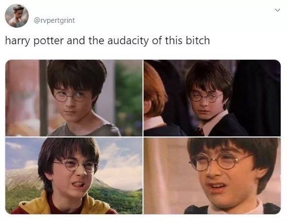 harry potter and the audacity of this bitch