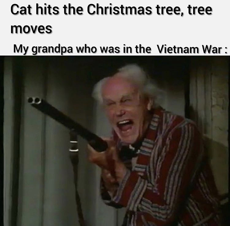 grandpa shotgun - Cat hits the Christmas tree, tree moves My grandpa who was in the Vietnam War