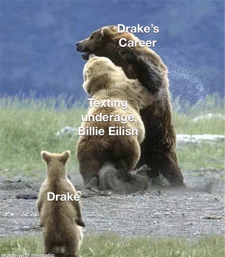 breath of the wild funny memes - Drake's Career Texting underage Billie Eilish Drake made with mematic