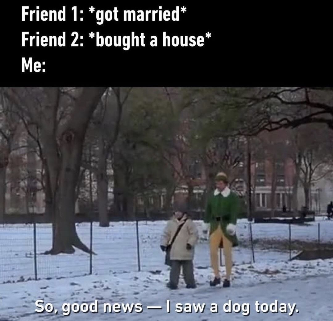 elf meme i saw a dog - Friend 1 got married Friend 2 bought a house Me So, good news I saw a dog today.