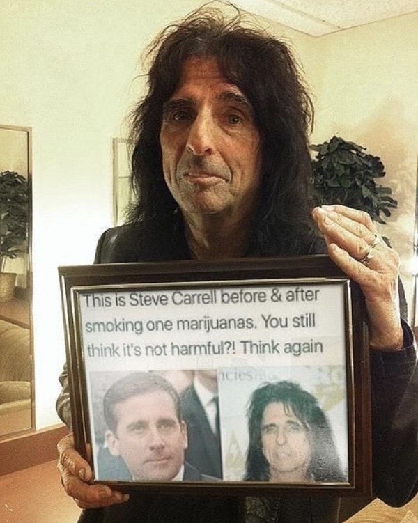 steve carell and alice cooper - This is Steve Carrell before & after smoking one marijuanas. You still think it's not harmful?! Think again ele