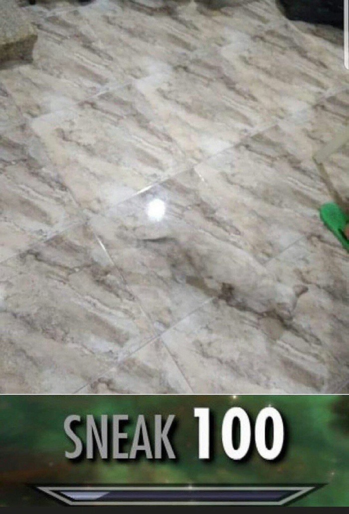 sneak 100 meme - Sneak 100
