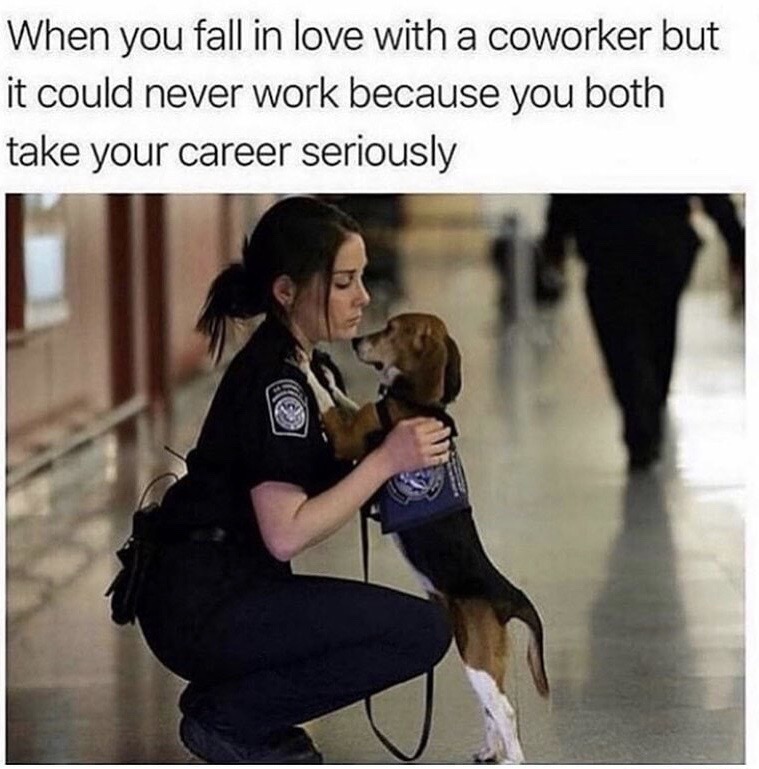 animals hugging humans - When you fall in love with a coworker but it could never work because you both take your career seriously