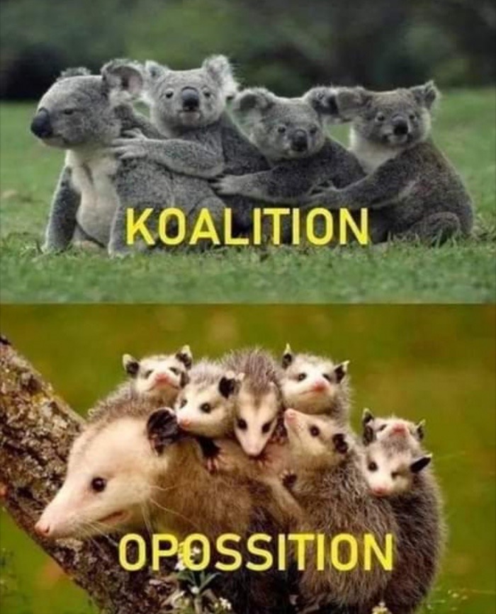 koalition meme - Koalition 5. Opossition
