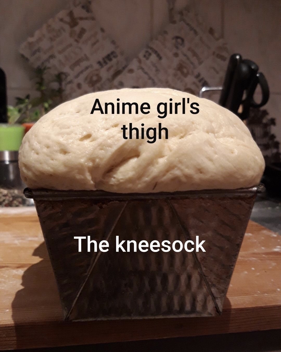 Anime - Anime girl's thigh The kneesock