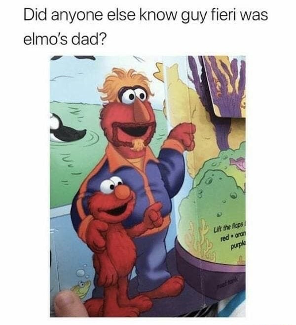 guy fieri memes - Did anyone else know guy fieri was elmo's dad? Lif the flops redaran purple