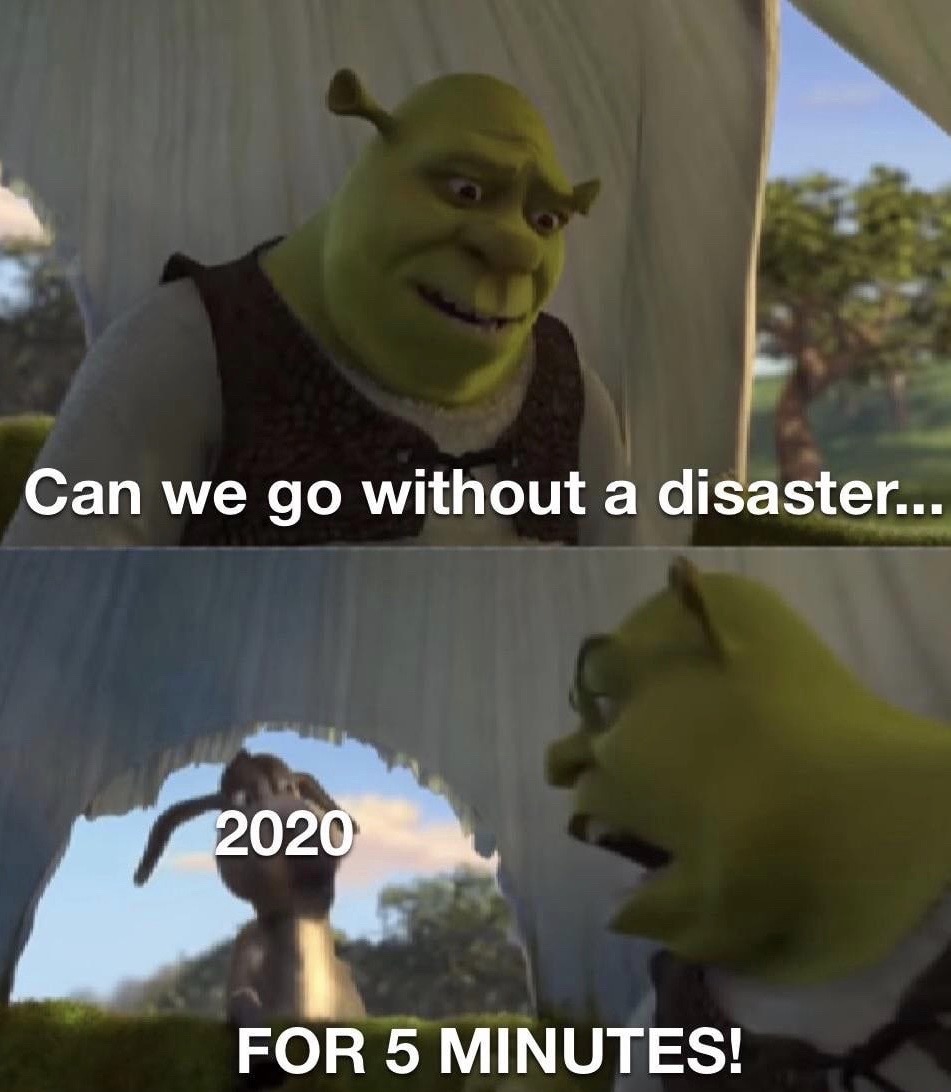 sims 4 cc memes - Can we go without a disaster... 2020 For 5 Minutes!