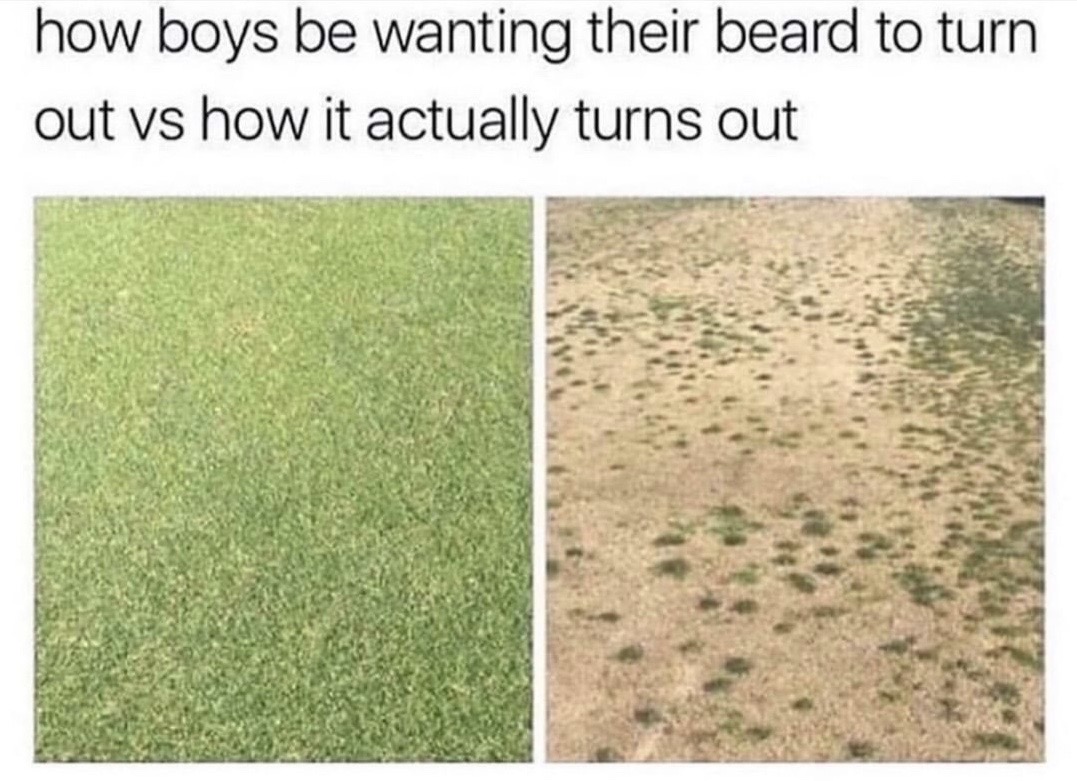 turn on meme boy vs girl - how boys be wanting their beard to turn out vs how it actually turns out