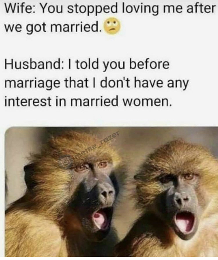 funny pictures of three monkeys - Wife You stopped loving me after we got married. Husband I told you before marriage that I don't have any interest in married women.