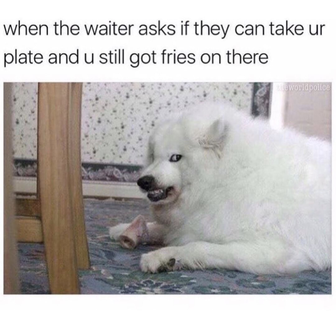 good doggos - when the waiter asks if they can take ur plate and u still got fries on there eworldpolice