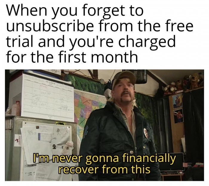 quarantine meme - When you forget to unsubscribe from the free trial and you're charged for the first month I'm never gonna financially recover from this