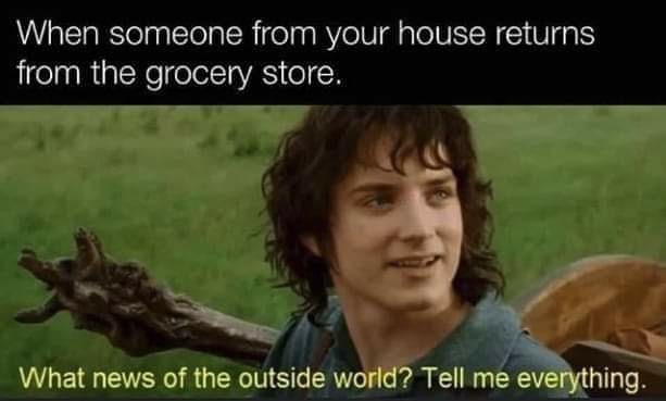 lord of the rings grocery memes - When someone from your house returns from the grocery store. What news of the outside world? Tell me everything.