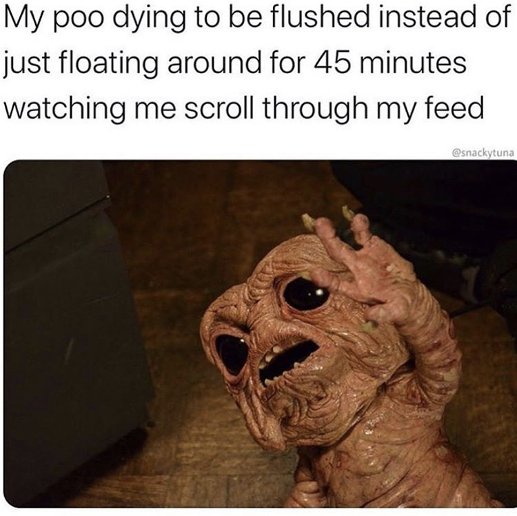 photo caption - My poo dying to be flushed instead of just floating around for 45 minutes watching me scroll through my feed