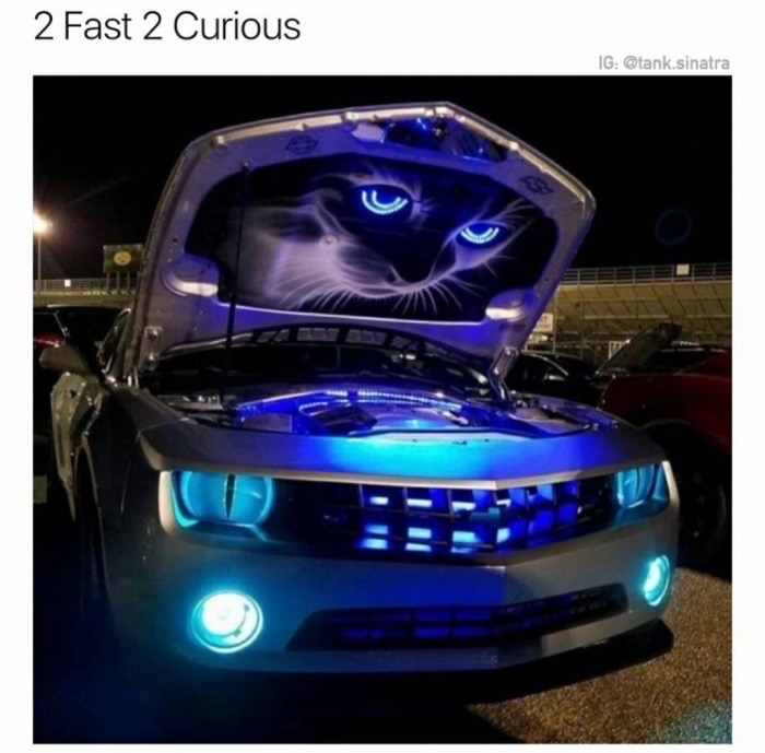 shitty car mods - 2 Fast 2 Curious Ig .sinatra
