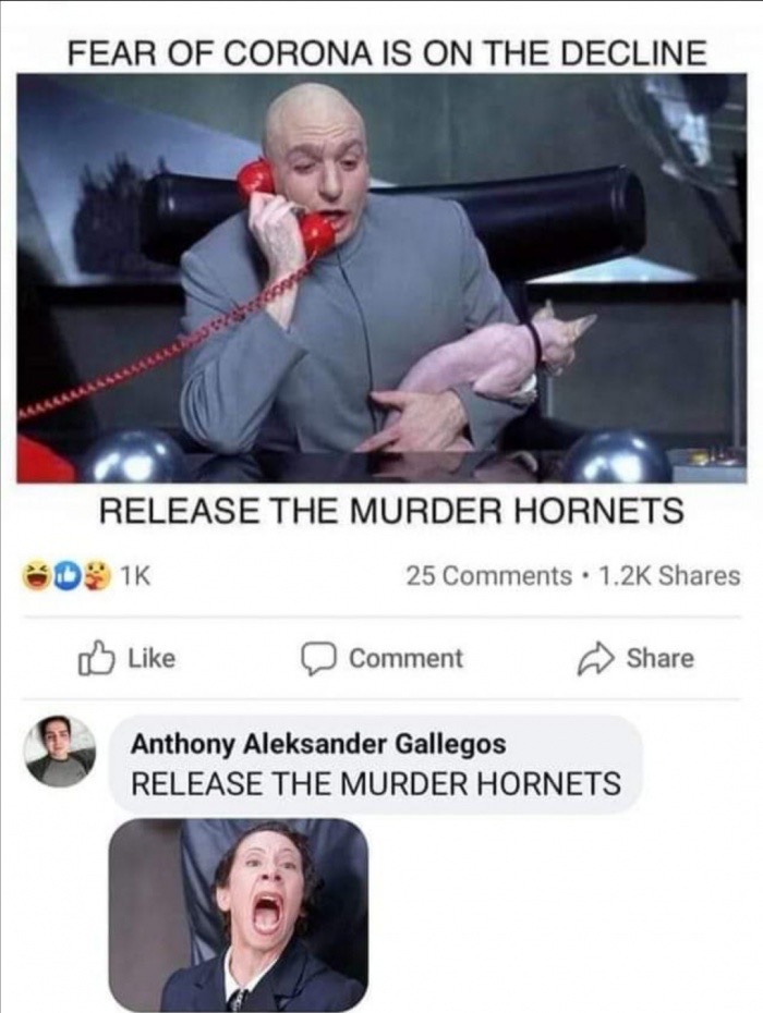 dr evil and cat - Fear Of Corona Is On The Decline Release The Murder Hornets Ds 1K 25 . Comment Anthony Aleksander Gallegos Release The Murder Hornets