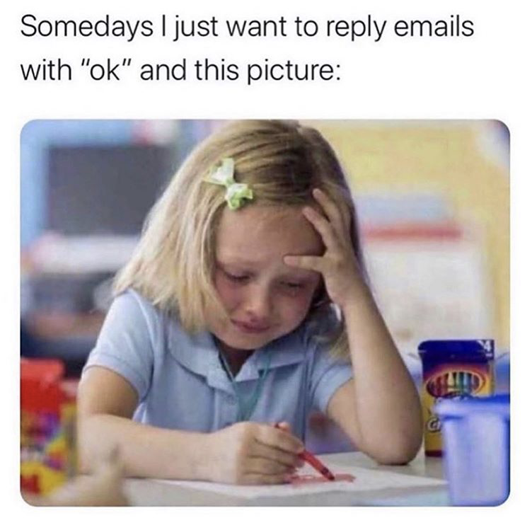 some days i just want to reply - Somedays I just want to emails with "ok" and this picture