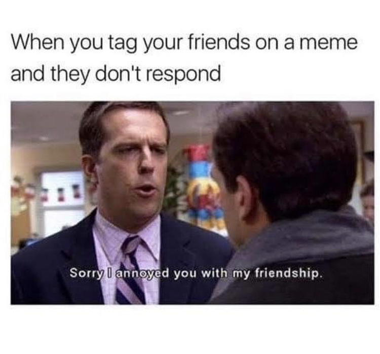 meme tag your friends - When you tag your friends on a meme and they don't respond Sorry I annoyed you with my friendship.