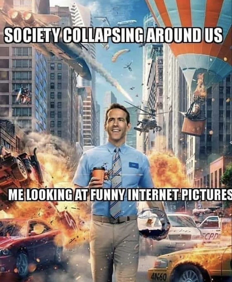free guy - Society Collapsing Around Us Me Looking At Funny Internet Pictures