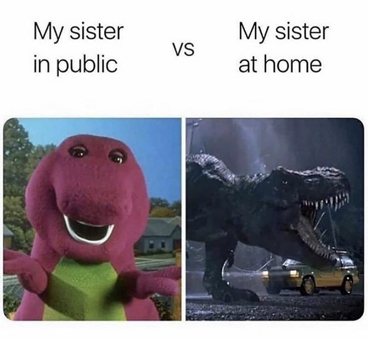 jurassic park t rex - My sister in public Vs My sister at home