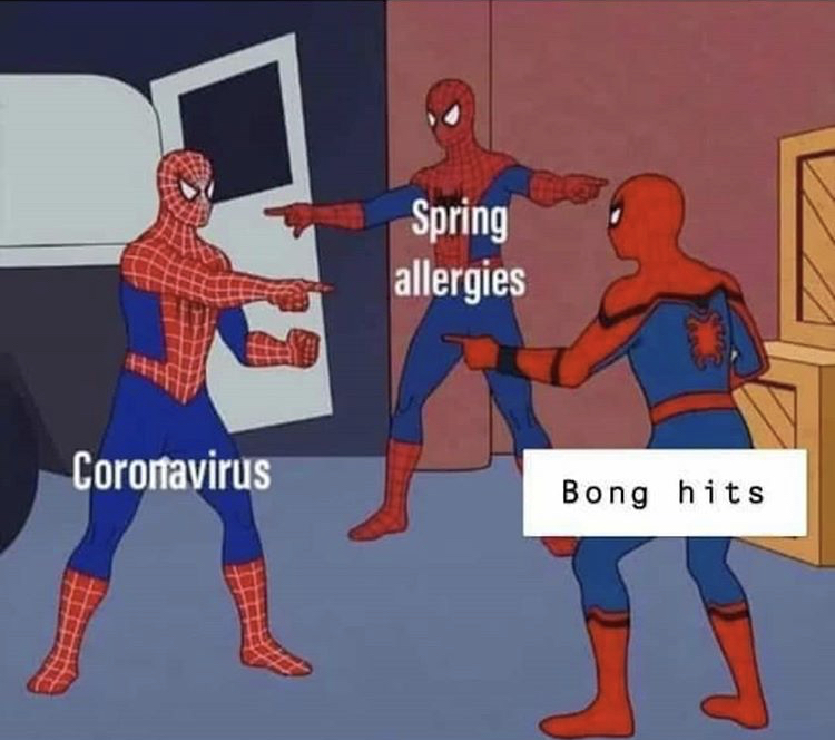allergies coronavirus meme - Spring allergies Corontavirus Bong hits