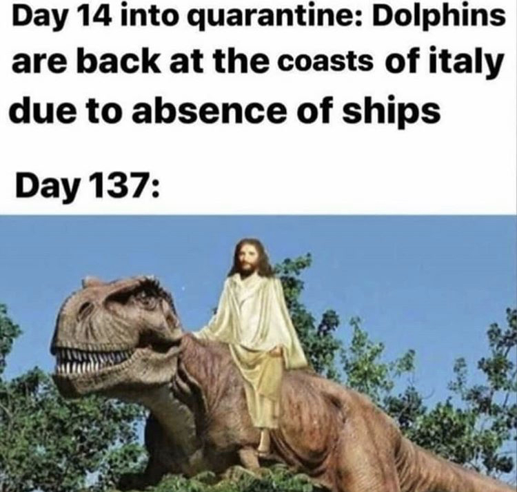 quarantine dinosaur meme - Day 14 into quarantine Dolphins are back at the coasts of italy due to absence of ships Day 137
