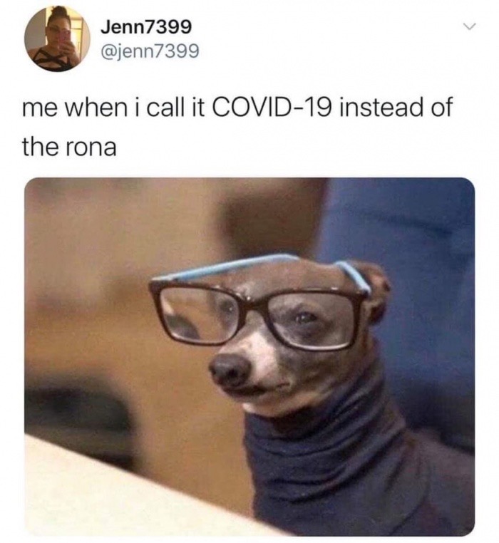 call it covid 19 instead - Jenn7399 me when i call it Covid19 instead of the rona
