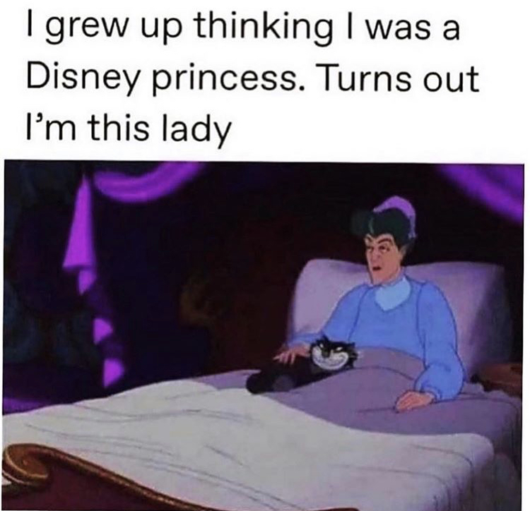 disney memes - I grew up thinking I was a Disney princess. Turns out I'm this lady