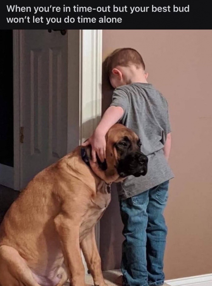 dog and kid in time out - When you're in timeout but your best bud won't let you do time alone